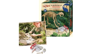 Kit de Construção Fóssil Arqueológico Dinossauros Tigre