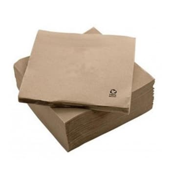 Guardanapos 33x33 2fls Nature P&P 100% Recycled 50un
