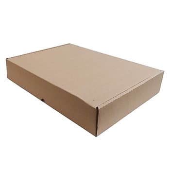 Caixa 455x330x055mm Cartão Simples P/Expedição Auto-Montável