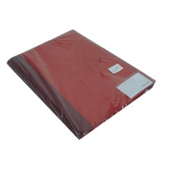 Classificador Plast Vermelho Capa Transp c/Ferragem Pack 10