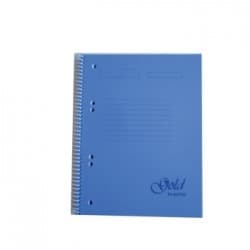 Caderno Espiral Platanus A5 Quadriculado 100Fls 70gr