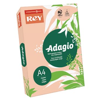 Papel Fotocopia Adagio(cd55) A4 80gr Pessego 1x500Fls