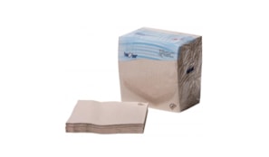 Guardanapos 40x40 2fls Nature P&P 100% Recycled 100un