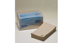 Guardanapos 30x40 1/6 2fls Nature P&P 100% Recycled 150un