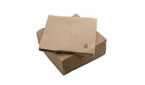 Guardanapos 33x33 2fls Nature P&P 100% Recycled 50un