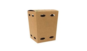 Caixa Cartolina Kraft 15x10,5x10,5cm  (Batatas Fritas) - 1u