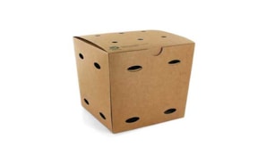 Caixa Cartolina Kraft 14x14,5x14,5cm (Batatas Fritas) - 1un