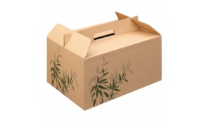 Caixa Asa Menu Lunch Box Kraft 28x20x15cm 1un