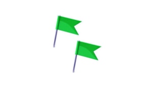 Sinalizador Bandeira Verde Cx 20un