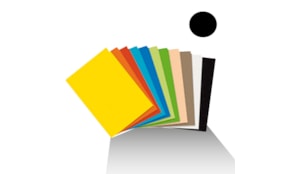 Cartolina 50x65cm 180gr 1 folha  Preto (11)