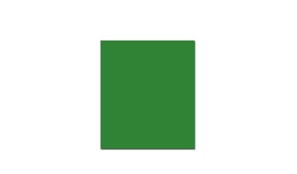 Cartolina 250gr 1 folha 50x65cm Verde (3)