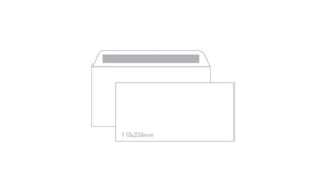 Envelopes 110X220mm s/janela Cx 500un Autodex (53219)
