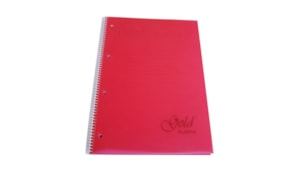 Caderno Espiral PP A4 Quadricul. 100fls 70grs Cores Sortidas