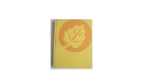 Fita Embrulho Verde 10x250m 1 Rolo