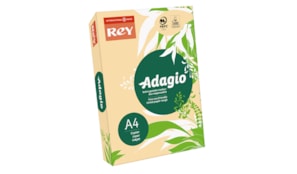 Papel Fotocopia Adagio(cd08) A4 80gr Salmao 1x500Fls