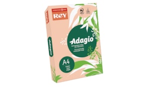 Papel Fotocopia Adagio(cd55) A4 80gr Pessego 1x500Fls