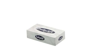Lencos Papel Facial BulkySoft Folha Dupla 21x21cm 100unx40 (4000un)